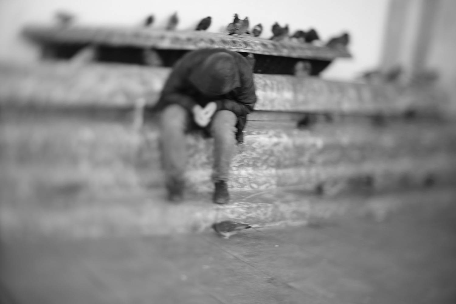 , Корж Владимир