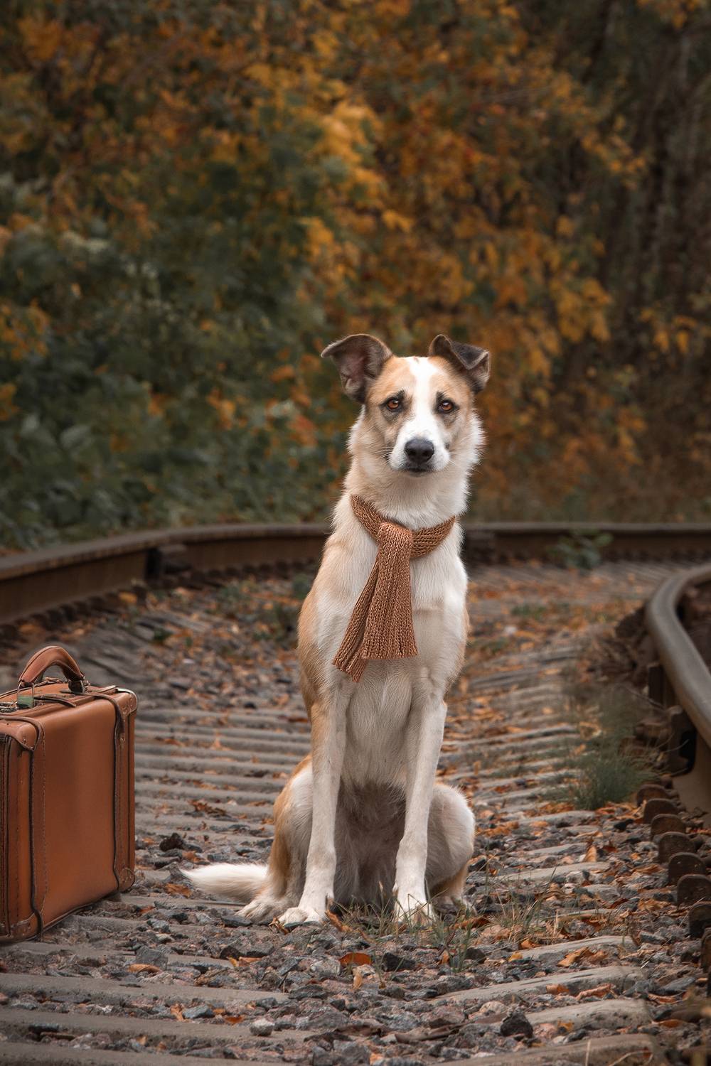 , Елена Самусенкова