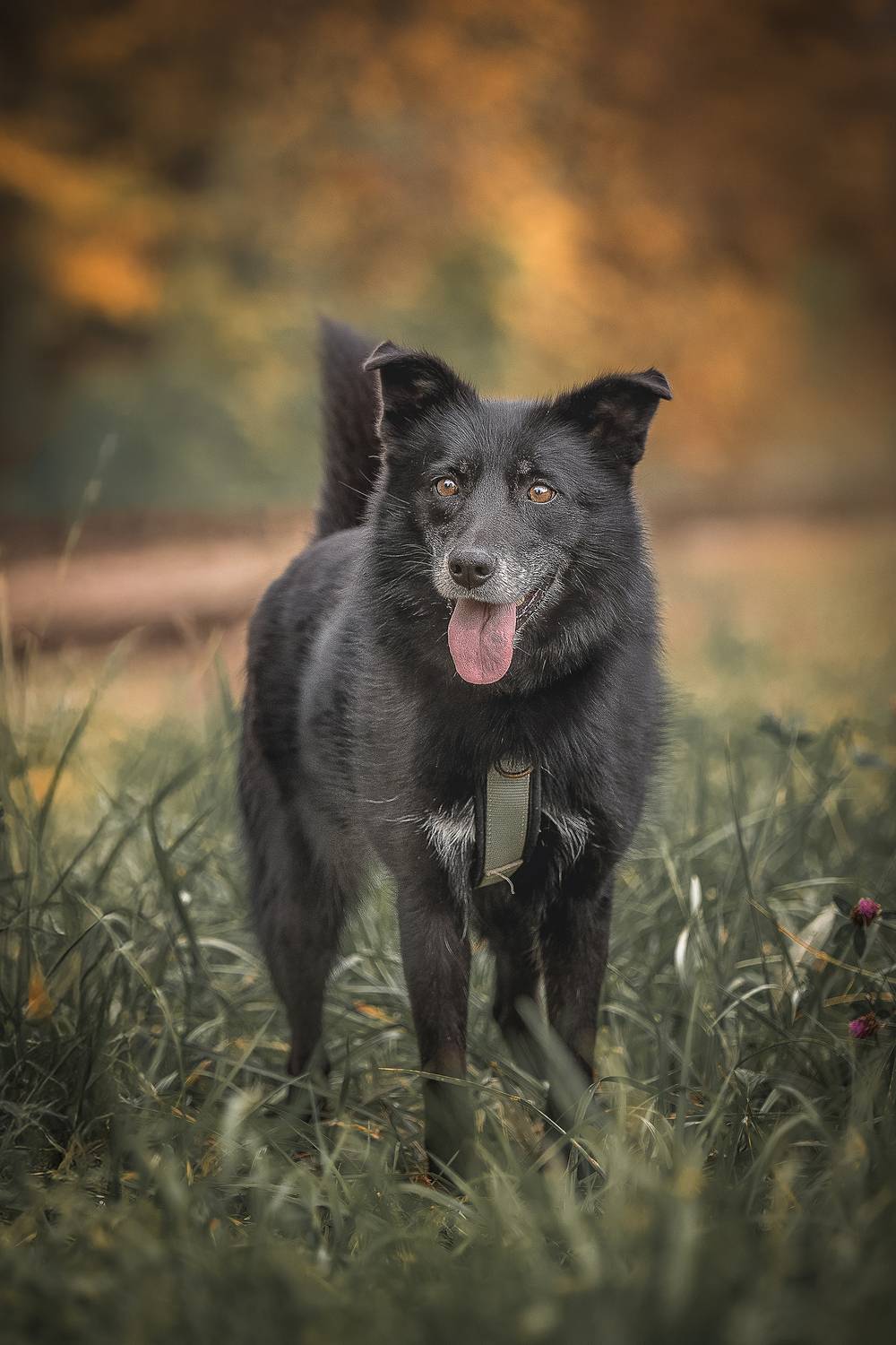 , Елена Самусенкова