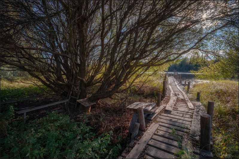 Ещё цепляется лето за ветви фото превью