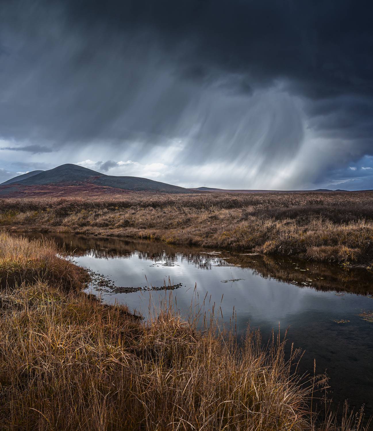 , Андреев Николай