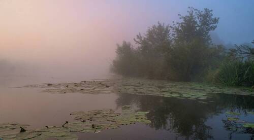 В начале осени.