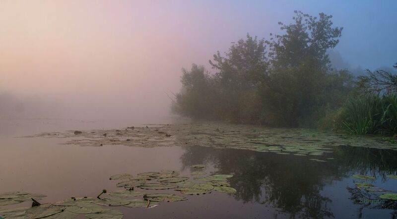 осень утро озеро туман природа пейзаж В начале осени. фото превью