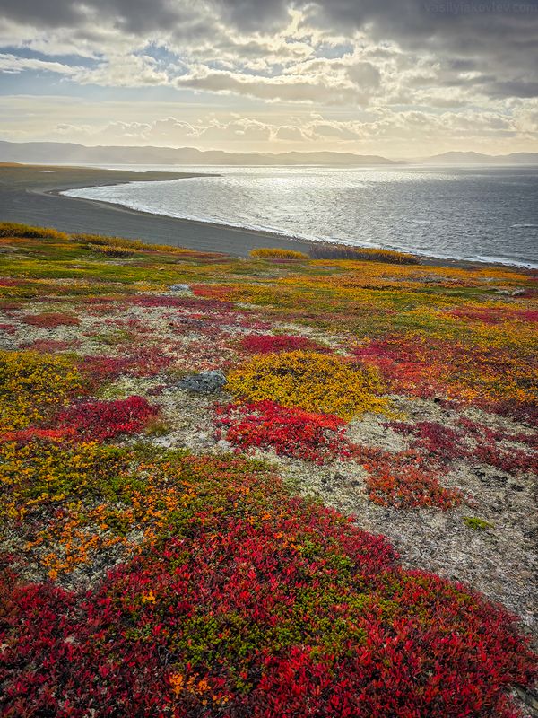 рыбачий, фототур, яковлевфототур, кольский, арктика Полуостров Средний фото превью