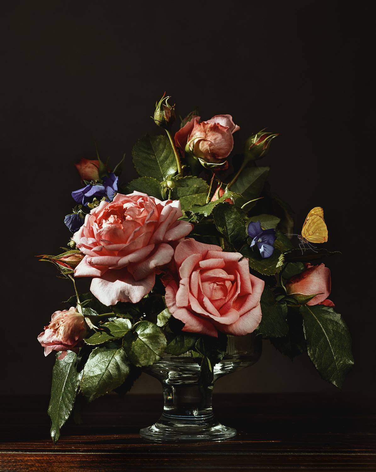 , Александрова