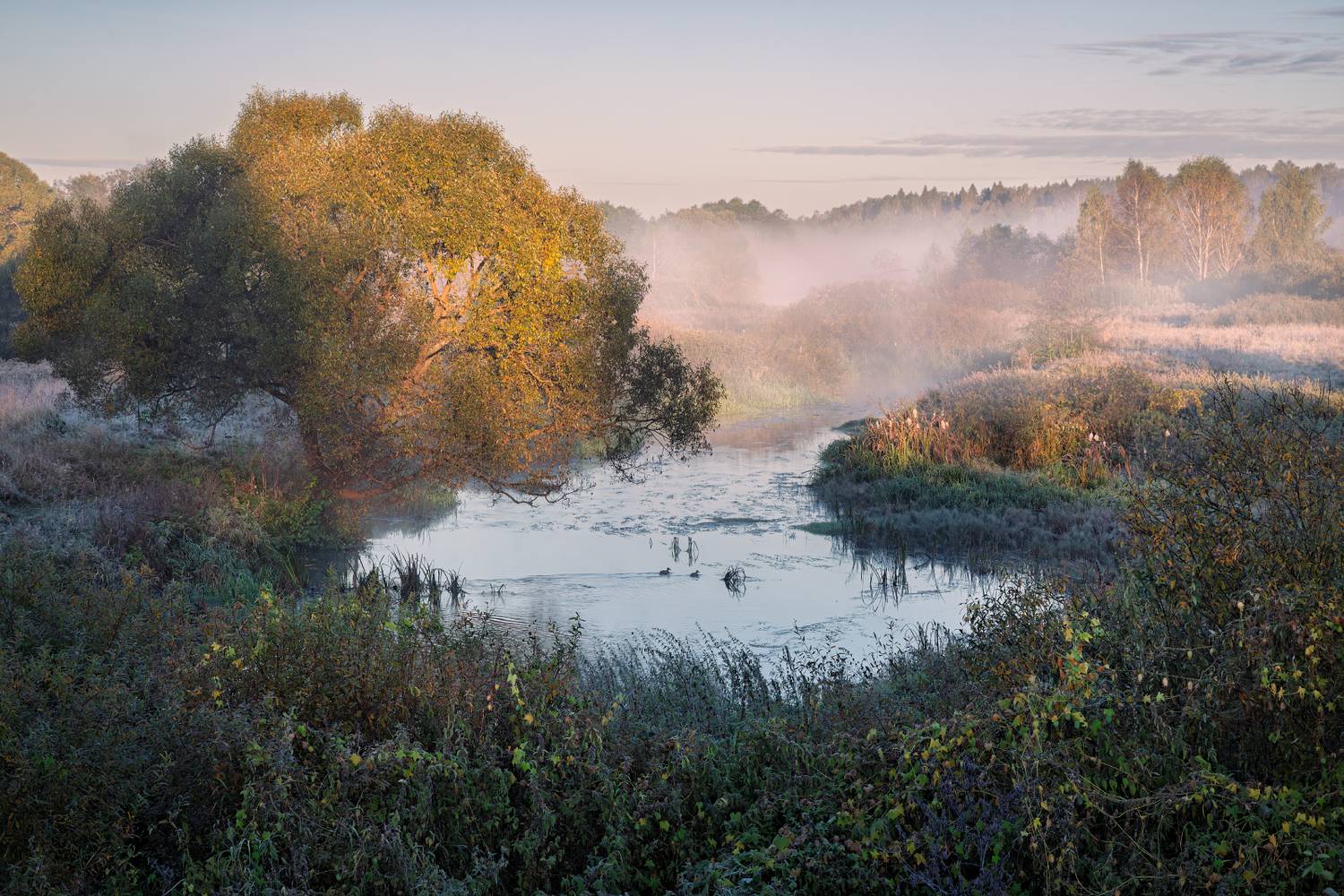 , Евгений Ерохин