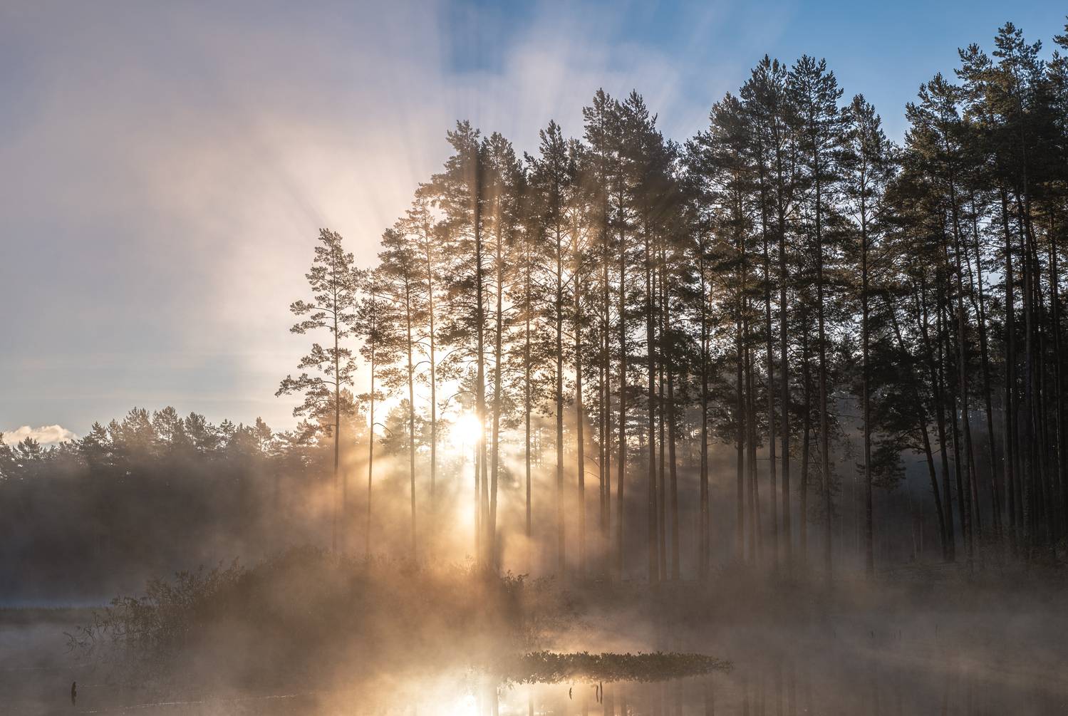 , Гордон Николай