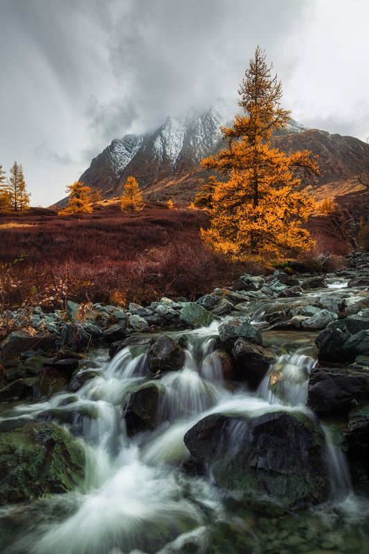 Журчание алтайской осени фото превью