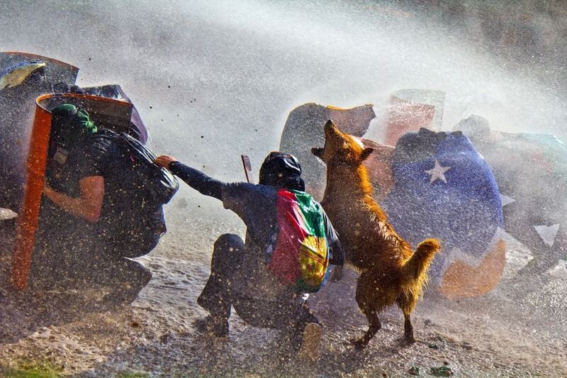 revuelta social, estallido social, 18 de octubre, octubre, estallido social en chile, piñera, rucio capucha,bastián cifuentes araya, periodistafurioso, periodista furioso, bastian cifuentes araya, reportage RUCIO CAPUCHA фото превью