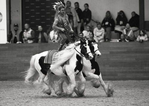 Танец с ветром и свободой