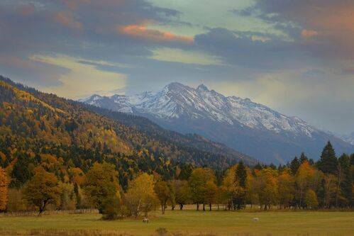 Кардон Карапырь