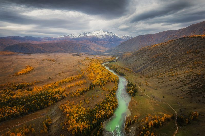 Долина реки Аргут (Алтай) фото превью