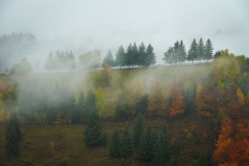 2020 фото превью