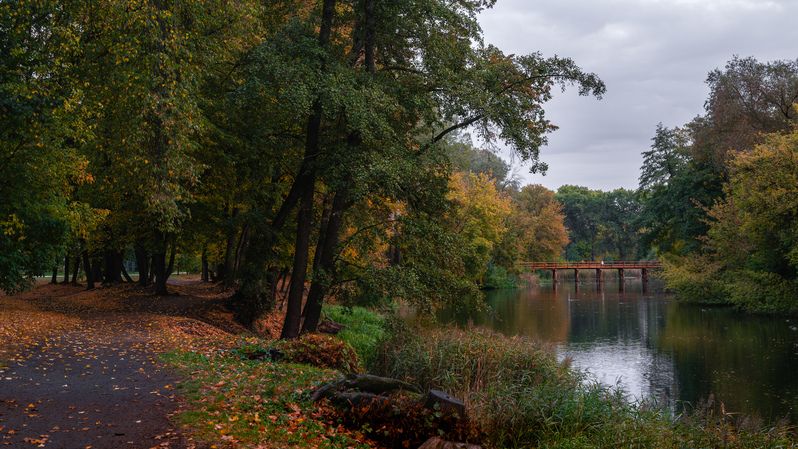 Осень фото превью