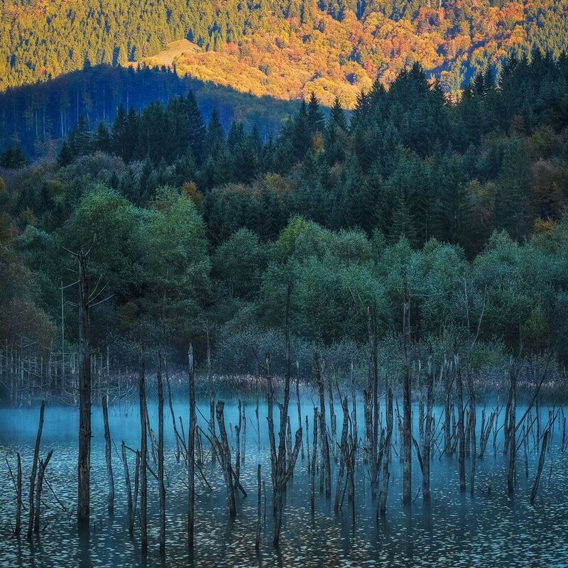 2024 фото превью