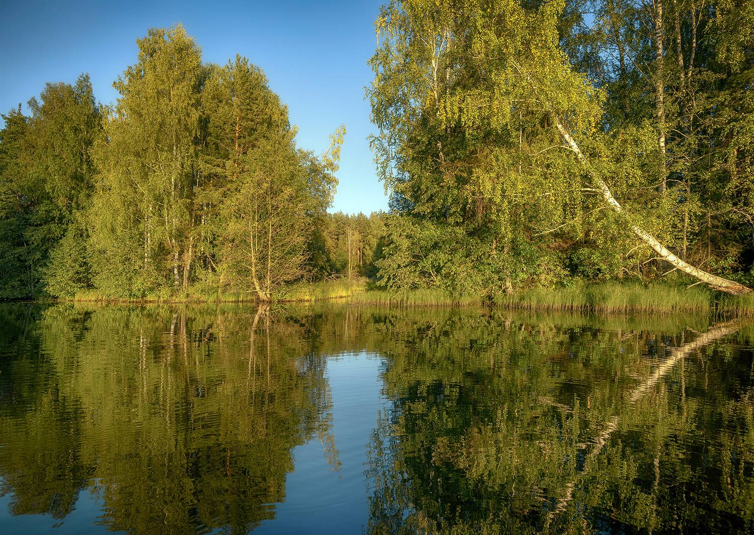 , Сергей Аникин