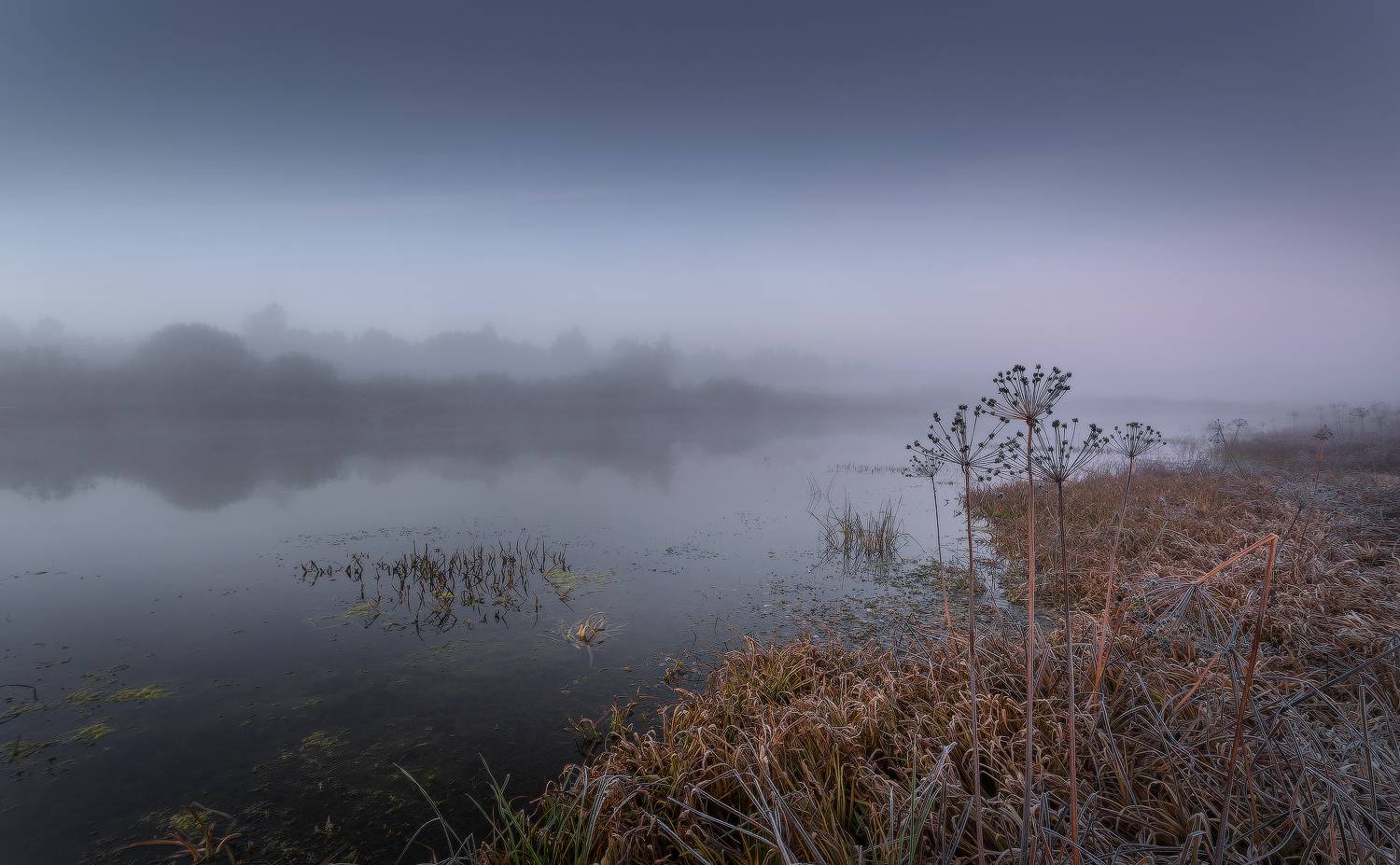 утро осень туман заморозки, Михаил Корнилов