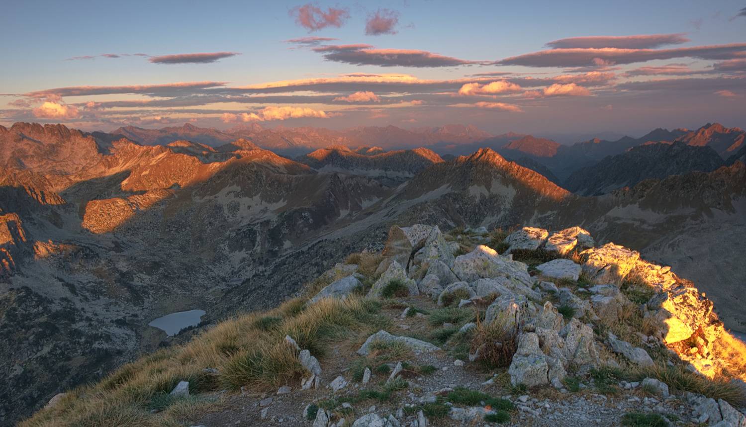 , Wojciech Tarnowski