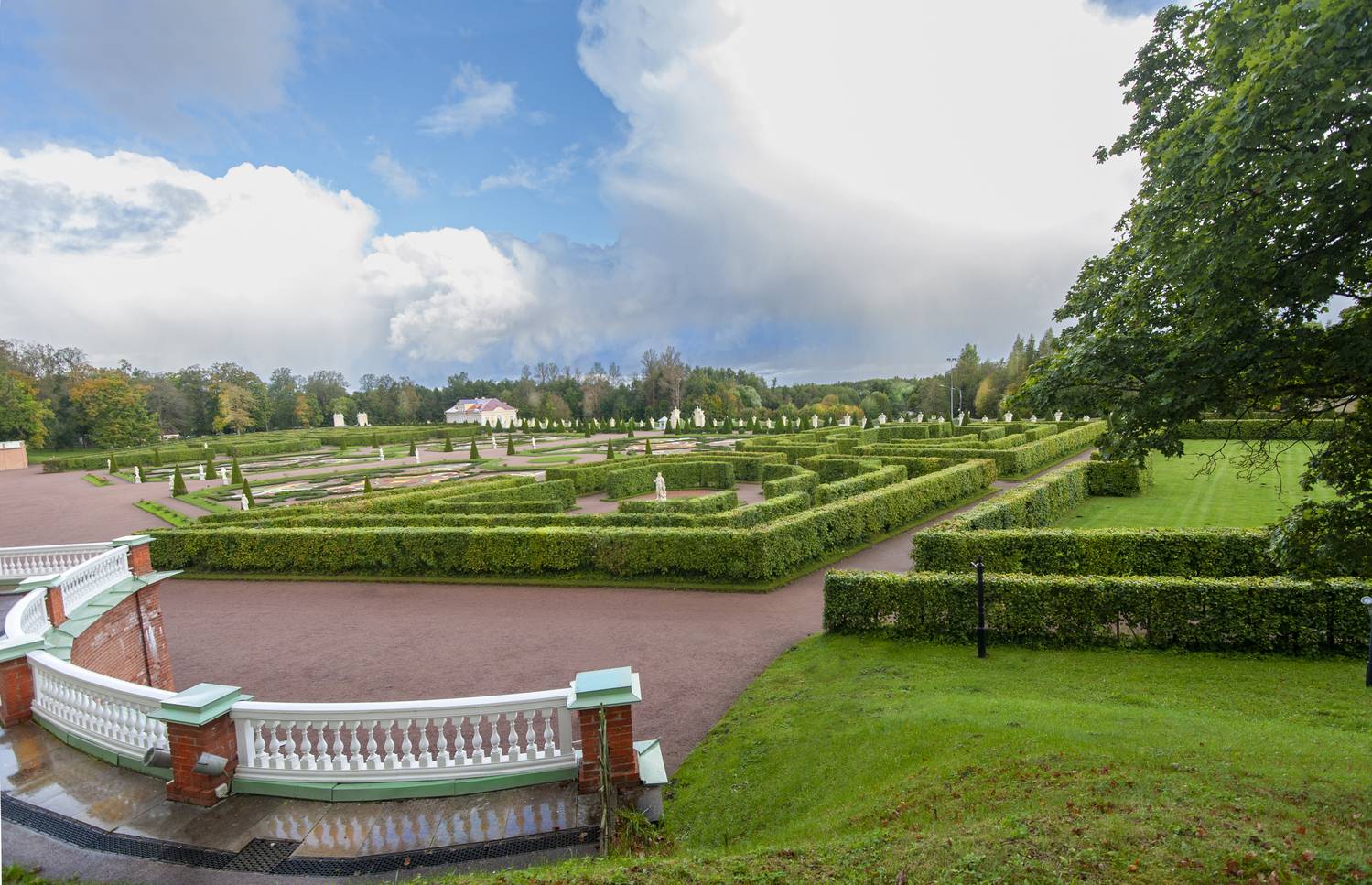 , Георгий Сапожников