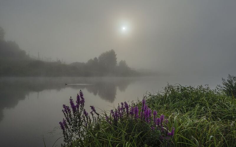 Утро уходящего лета фото превью