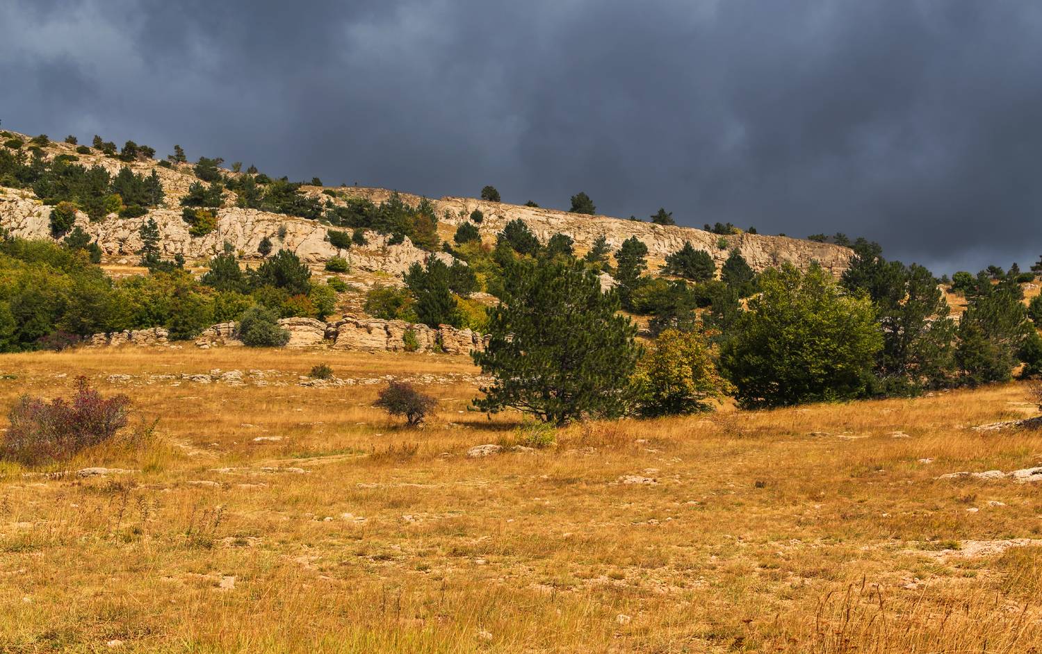 , Лысенко Сергей