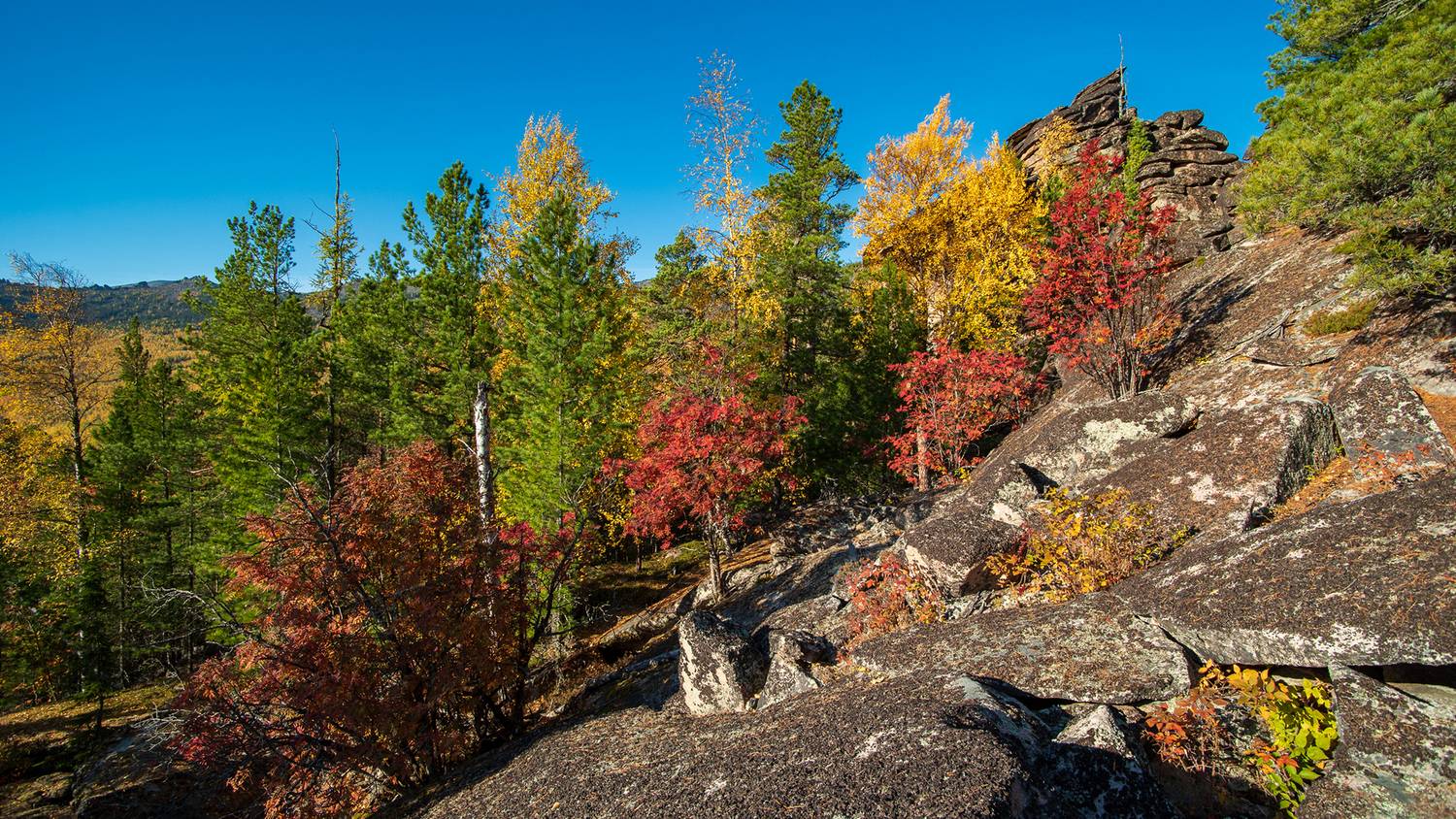 кутурчинское, белогорье, горы, саяны, утро,  скалы, осень, рябина, Мальцев Юрий