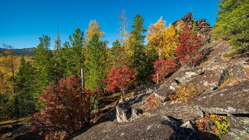 кутурчинское, белогорье, горы, саяны, утро,  скалы, осень, рябина Рябиновая аллея фото превью