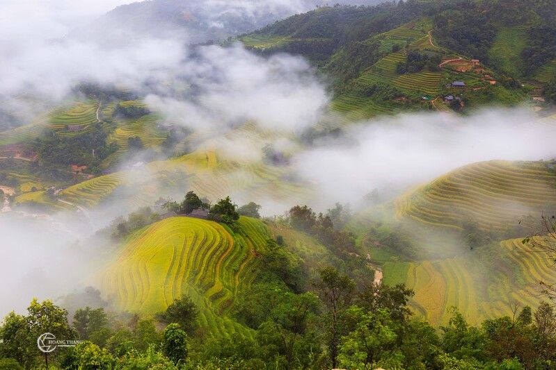 Golden season in Ban Luoc фото превью