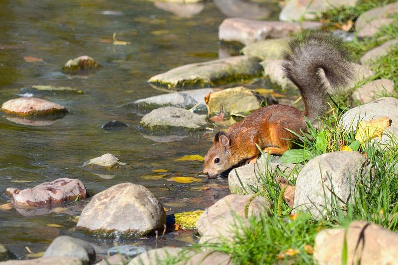 В жаркий полдень фото превью