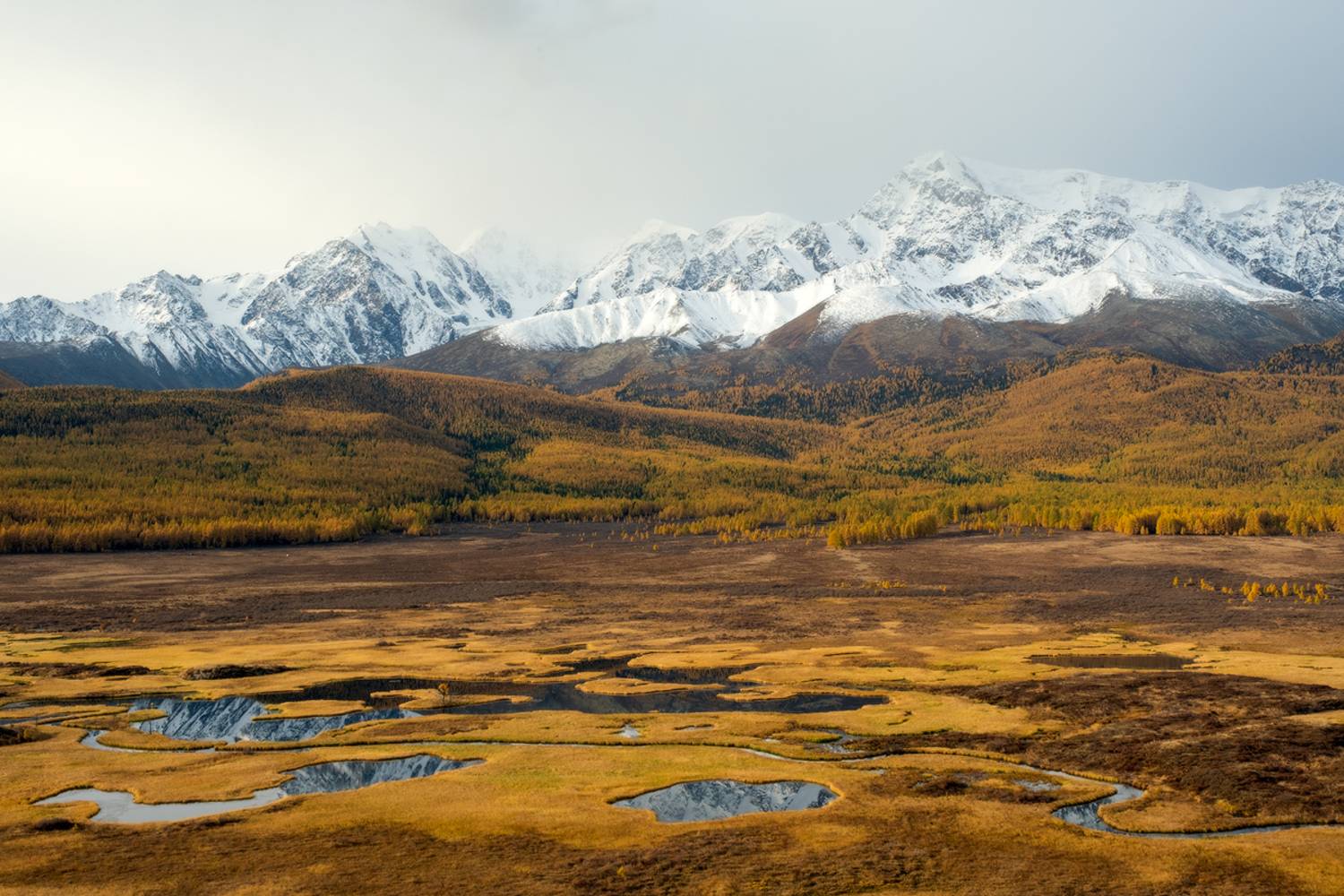 Алтай, Джангысколь, Юсупов Александр