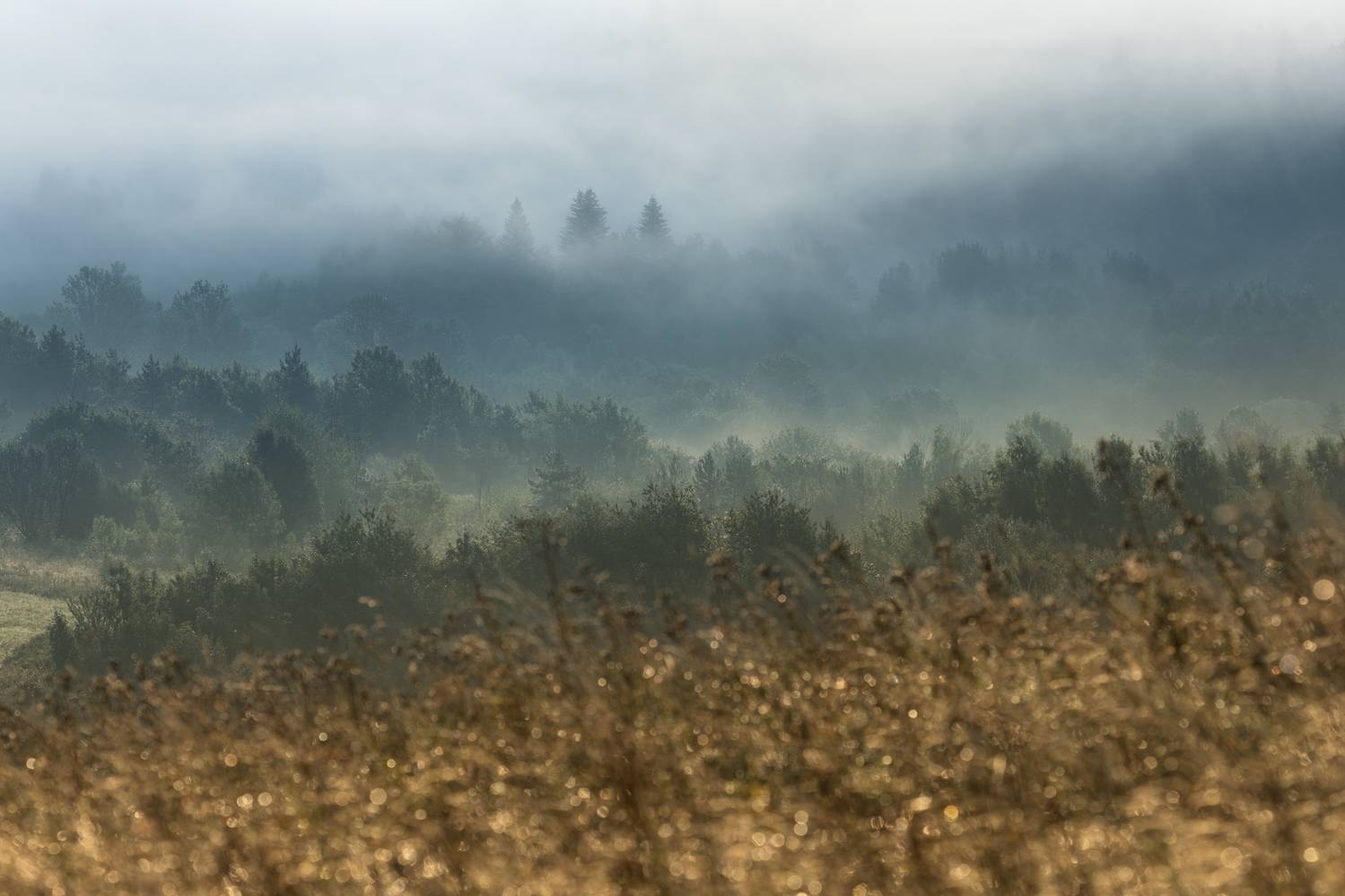 ,  Mirosław Pruchnicki