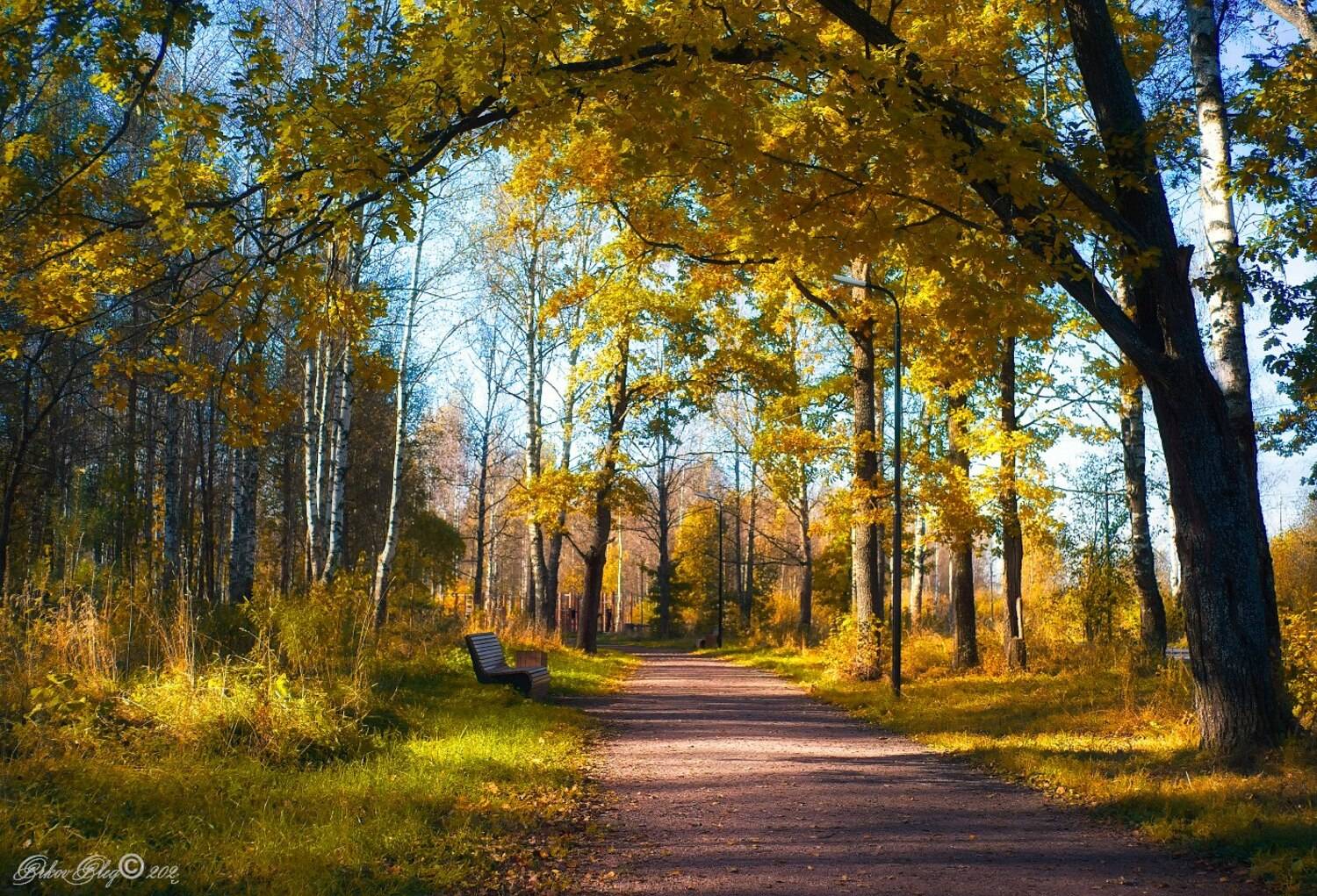 , Орлов Олег