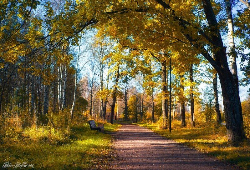 *** фото превью