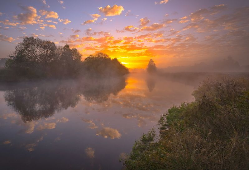 осень, рассвет, свислочь, туман, беларусь Осенний рассвет фото превью