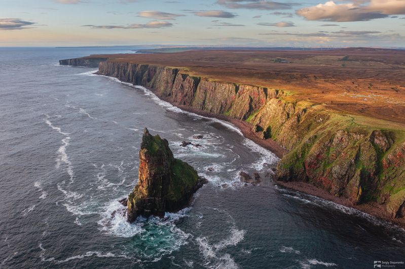 The Fang фото превью