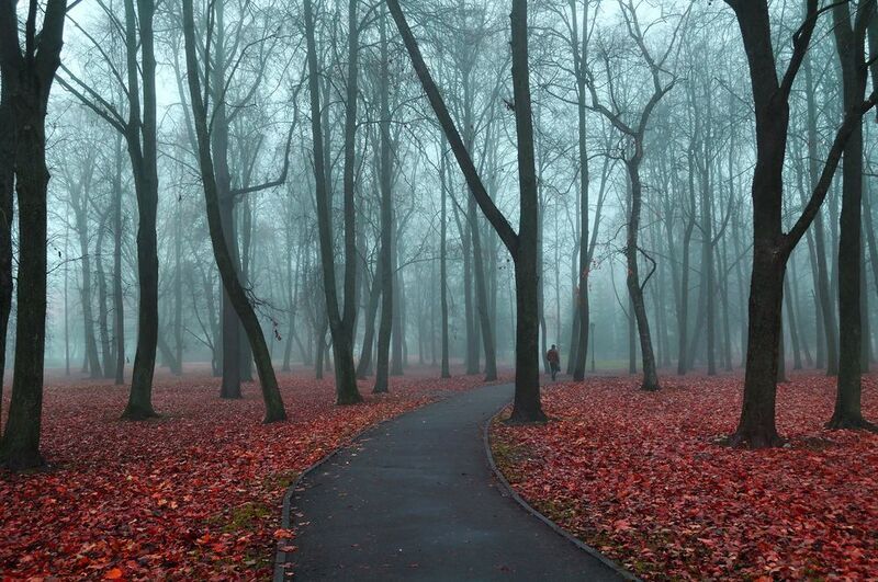 Touching the fog фото превью