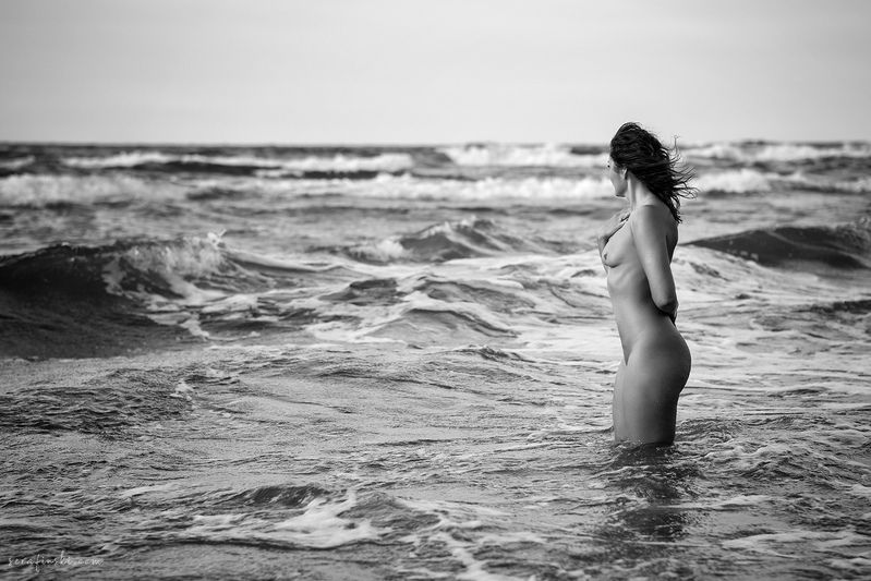 K... фото превью