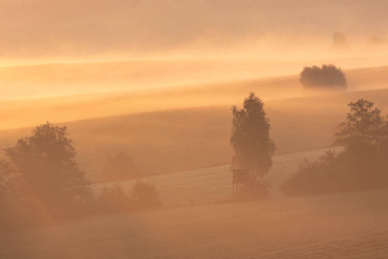 ,  Mirosław Pruchnicki