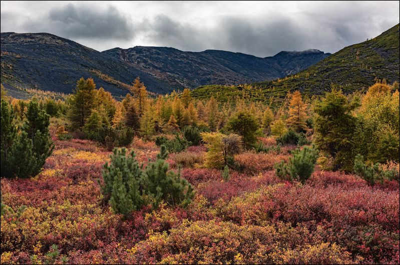 Осень на Джеке продолжение фото превью
