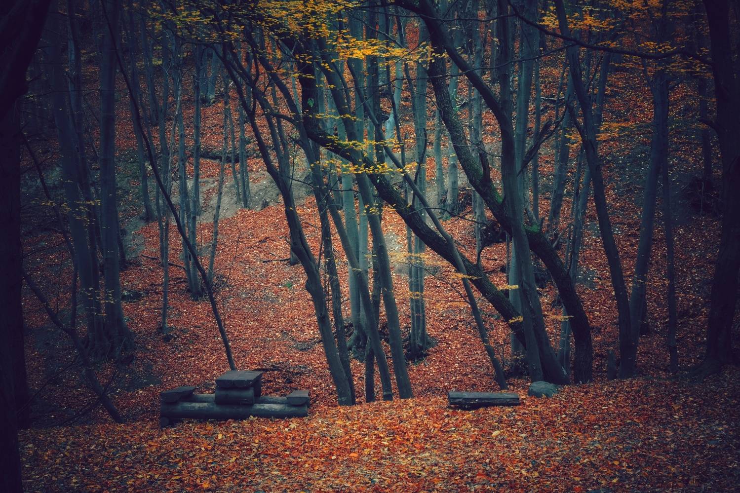 , Юлияна Стоянова