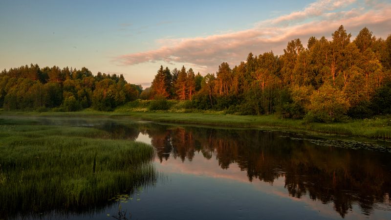 великий двор,вологодчина,кема,север  фото превью