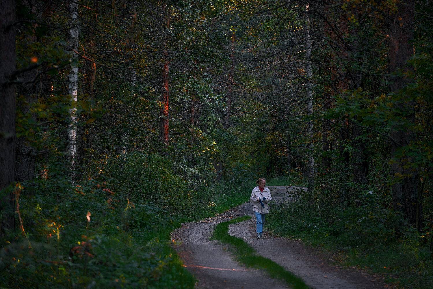 осень вечер дорога лес, Владислав Никишин
