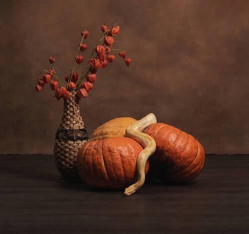 Autumn still life with snake