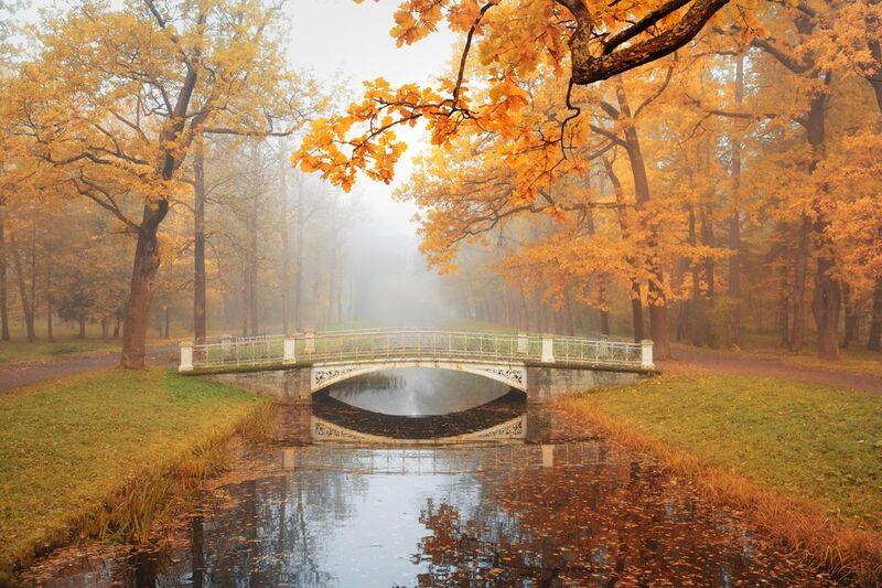 осень в Царском селе... фото превью