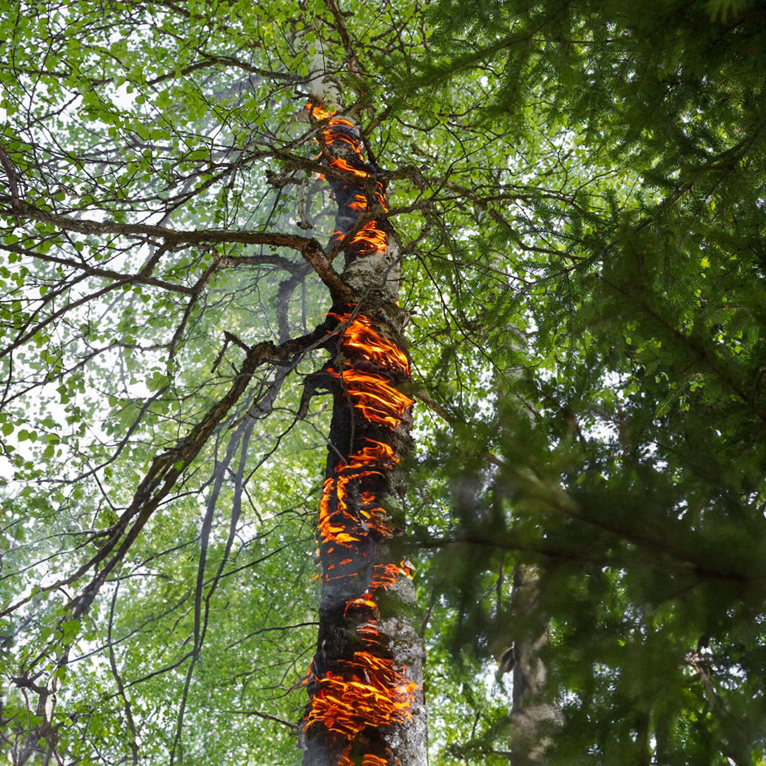 , Капустин Игорь