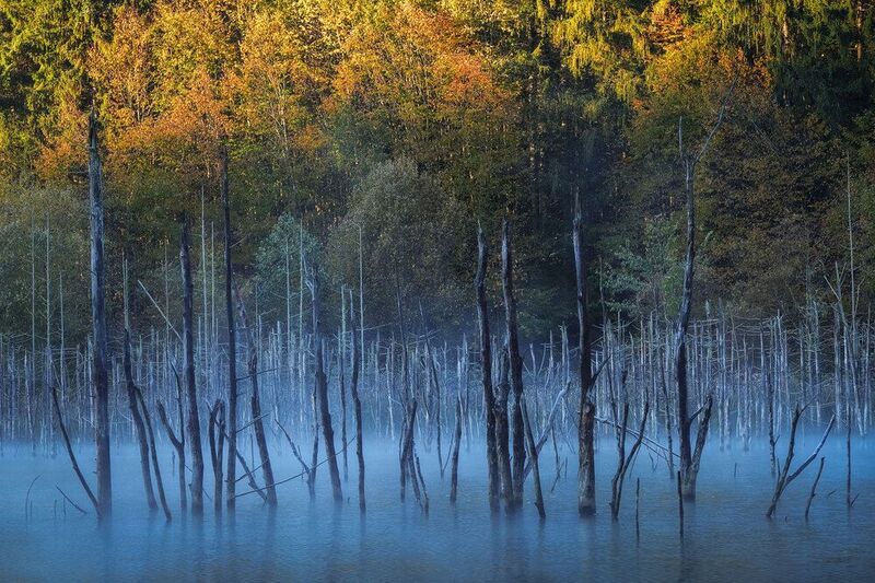 2024 фото превью