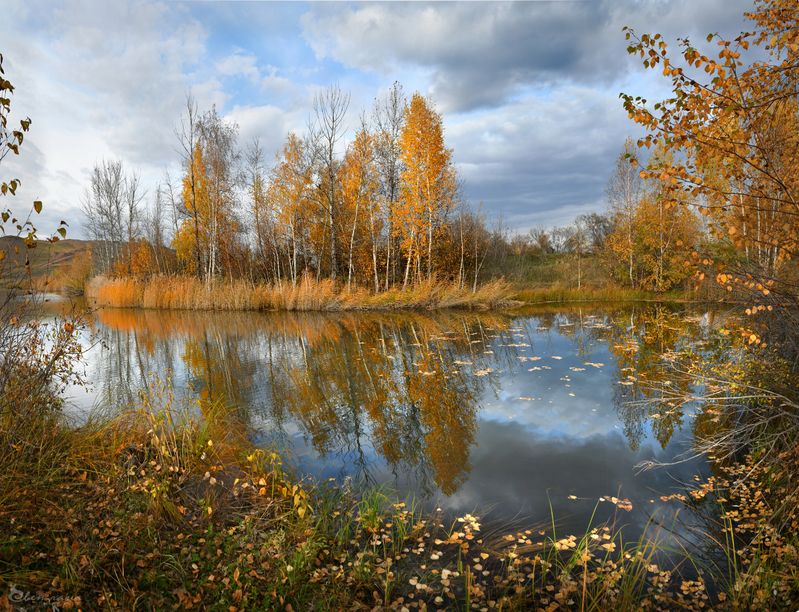 Осень фото превью