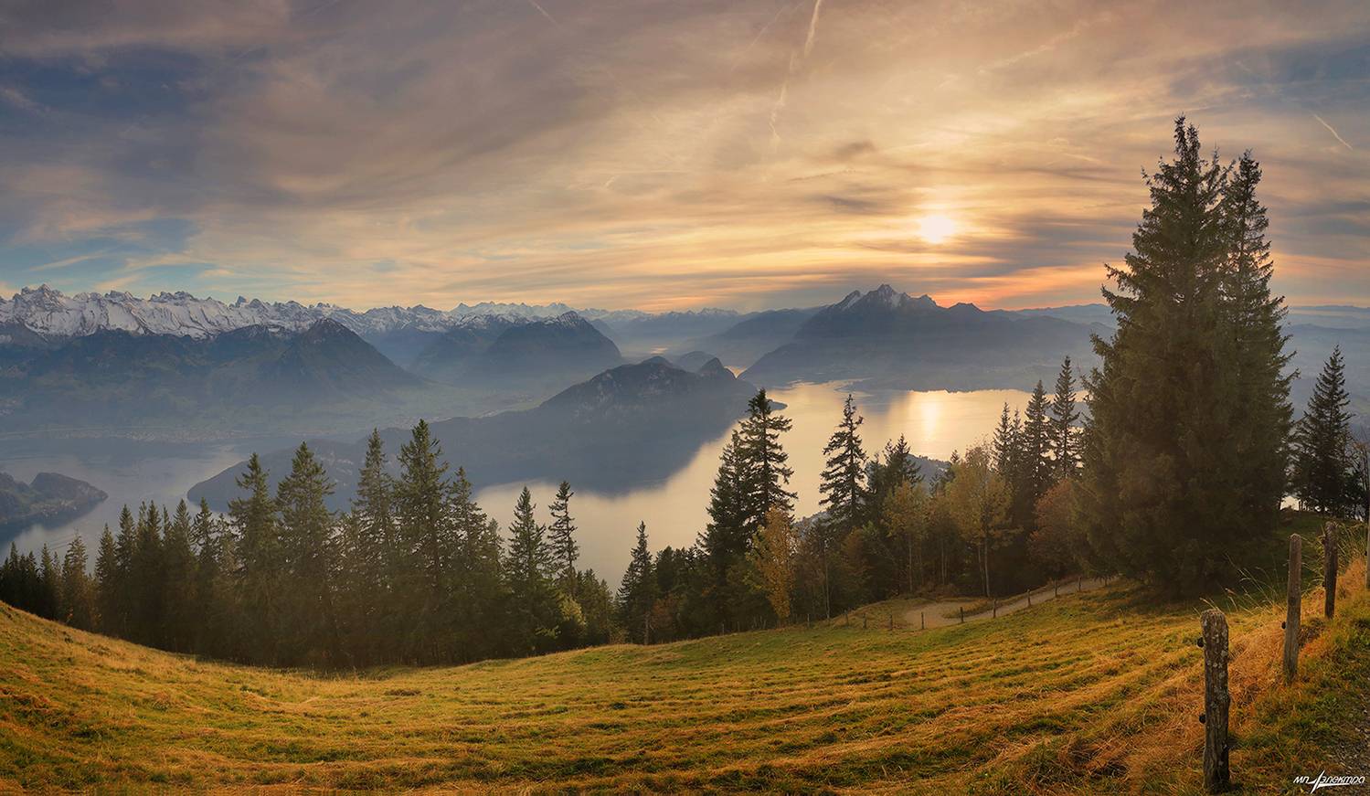 swiss, Матвеев Николай