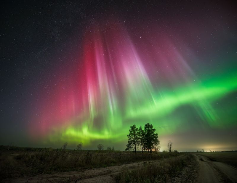 северное сияние, вологодская область, сосны, поле.  фото превью