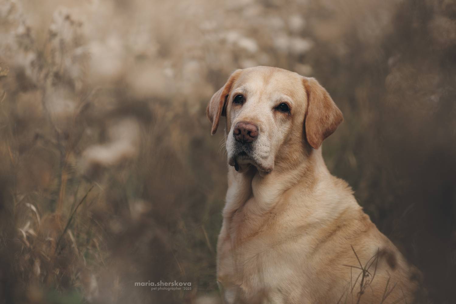 , Шерскова Мария